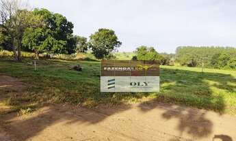 Imagem 6: Chácara em Goianira - GO 3160m ! OPORTUNIDADE UNICA !