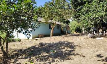 Imagem 6: Chacara em alexandra