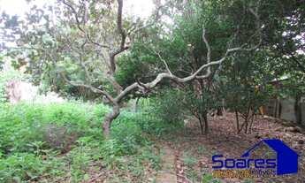 Imagem 3: Brazlândia - Chácara - Brazlândia