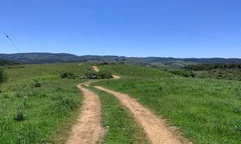 Imagem 5: Fazenda 120 Hectares Cachoeira do Sul - RS