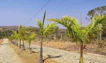 Imagem 5: Terrenos 20.000m2 em Condomínio na Serra 20.810 + Parcelas