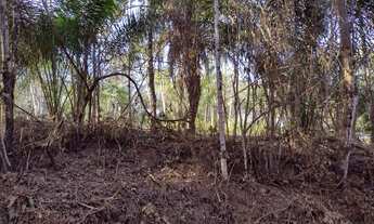 Imagem 7: Chácara 20 km do B:Morumbi