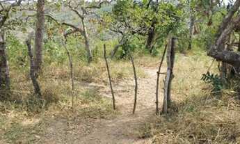 Imagem 3: Vendo ou troco Chácara com venda com preço sob consulta