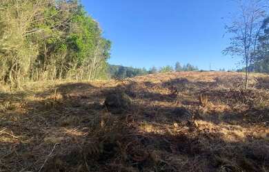 Imagem 5: Terreno em Nazaré Paulista Ótima Topografia Loteamento