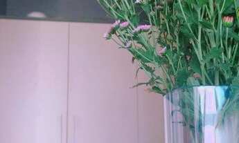 Imagem 6: ITAJAí - Apartamento Padrão - Ressacada