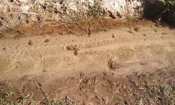 Imagem 7: FAZENDA RURAL em MATEUS LEME - MG, Serra Azul