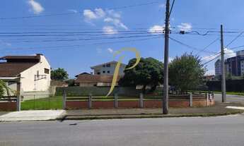 Imagem 2: JOINVILLE - Terreno Padrão - Bucarein