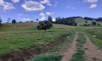 Imagem 5: Fazenda Própria para Pecuária com 4 Casa e Galpão em Santo António da Patrulha