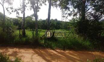 Imagem 3: Fazenda em Japecanga