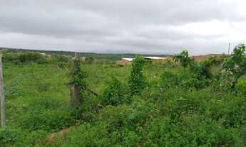 Imagem 2: VENDE-SE TERRENO NO SITIO PELADAS MAIS INFORMAÇÕES NA DESCRIÇÃO