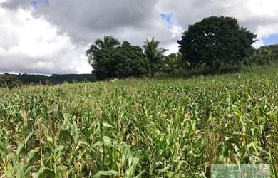 Imagem 2: Fazenda a 15 km de Entre Rios Na BA 093 , São 270 tarefas georreferenciadas GPS
