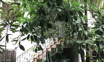 Imagem 6: São Paulo - Casa Padrão - VILA MARIANA