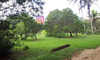 Imagem 6: Fazenda/Sítio/Chácara para venda possui 10000 metros quadrados com 4 quartos