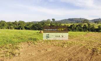 Imagem 3: Chácara em Goianira - GO 3160m ! OPORTUNIDADE UNICA !