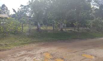 Imagem 4: Fazenda/Sítio/Chácara para venda tem 100000 metros quadrados