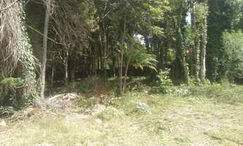 Imagem 5: Gramado - Terreno Padrão - Mato Queimado