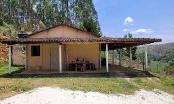 Imagem 5: Sitio 70 hectares - Catuji - MG - Casa, Energia, Internet, Água ,Eucaliptos