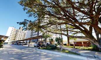 Imagem 3: Apartamento em Camaquã