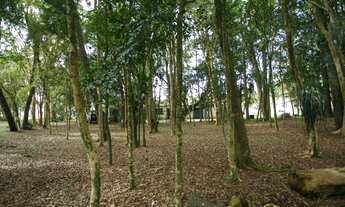 Imagem 7: Chácara com localização espetacular a 200m da BR277