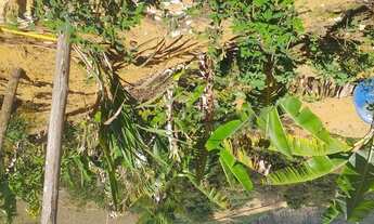 Imagem: Vende ser um sítio telefone