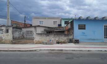 Imagem: Barbada vendo