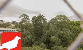 Imagem 7: Apartamento à venda no bairro Vila Sônia - São Paulo/SP