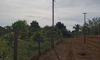 Imagem 3: Casa jardim Santana