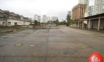 Imagem 2: São Paulo - Terreno Padrão - Lapa