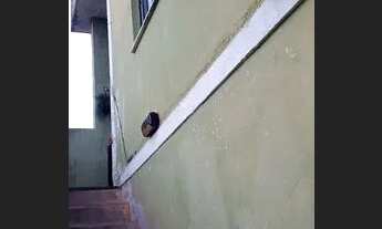 Imagem 3: Casa para alugar Mutuá