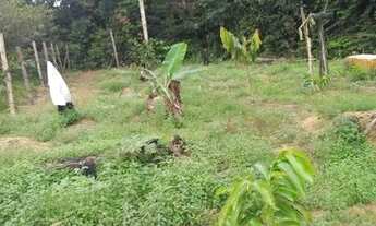 Imagem: Fazenda/Sítio/Chácara para venda com 7000