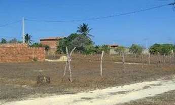 Imagem 2: Terreno no caminho da praia de uruau