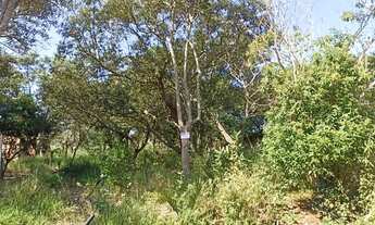 Imagem: Terreno 575mts