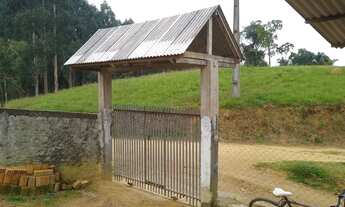 Imagem 3: Chacrinha a venda