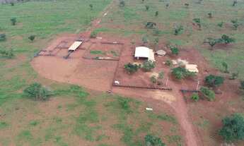 Imagem 6: Fazenda Para Vender com 1.500 Hectares em Formosa Da Serra Negra/MA