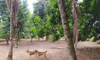 Imagem 3: Araçatuba - Chácara - Chácaras Califórnia