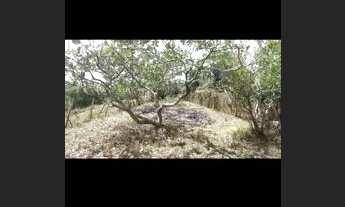 Imagem 5: Vende-se este terreno