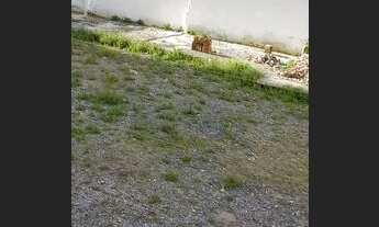 Imagem: Lote de terreno em Piedade