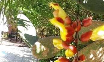 Imagem 4: Alugo AP com um dormitório pertinho da praia