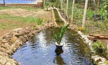 Imagem: Chácara oportunidade local sem chácaras