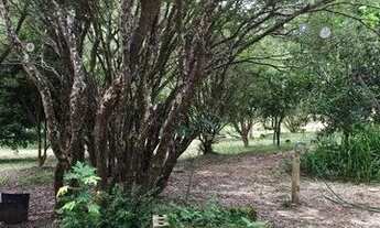 Imagem 6: São José dos Campos - Chácara - Buquirinha II