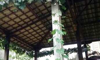 Imagem 6: Vendo ou troco casa inacabada no Campo do Pires, Nova Lima. 380.000,00 Lúcio 31.