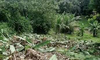 Imagem 5: Terreno em Figueiredo