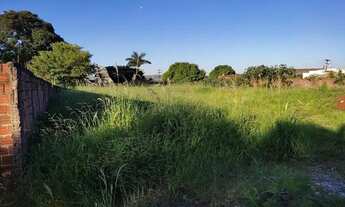 Imagem 4: Terreno 1000 Bairro Nv. Aliança Sarandi