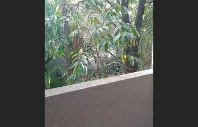 Imagem 2: Kit net proximo a Estação