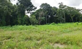 Imagem: Vendo Lote de Terreno em Aldeia no km 5,5