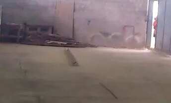 Imagem 6: Excelente galpão em Santo Aleixo, Jaboatão dos Guararapes