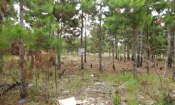 Imagem: Terreno próprio para investimento