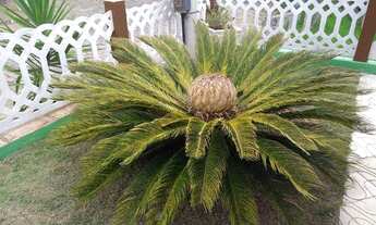 Imagem 3: Casa de condomínio sobrado para venda possui 175 metros quadrados com 2 quartos