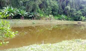 Imagem 6: Achou sua sonhada chácara 4900 mts lagao chalé plaina