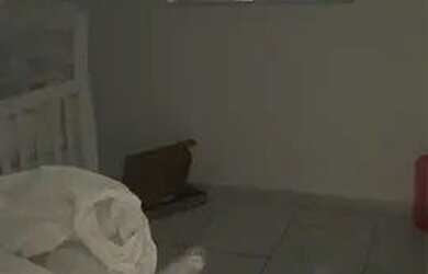 Imagem 4: Alugo apartamento coste Silva